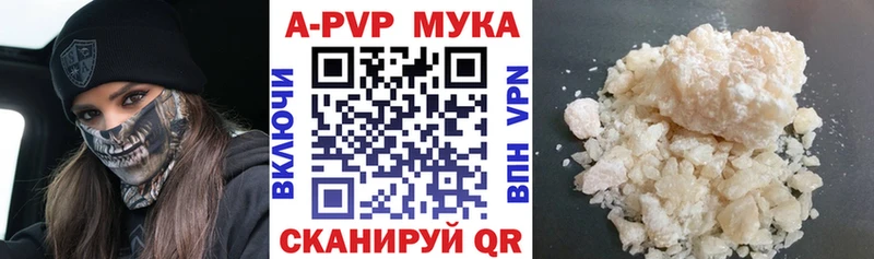Alfa_PVP СК КРИС  Купить  Сураж 